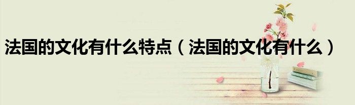 法国的文化有什么特点（法国的文化有什么）