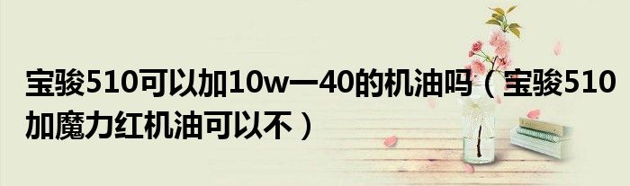 宝骏510可以加10w一40的机油吗（宝骏510加魔力红机油可以不）