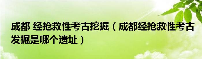 成都 经抢救性考古挖掘（成都经抢救性考古发掘是哪个遗址）