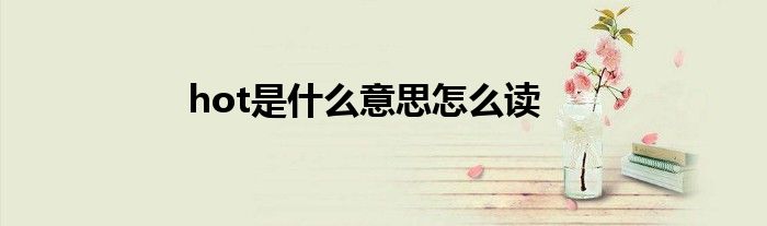 hot是什么意思怎么读