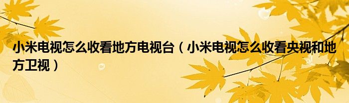 小米电视怎么收看地方电视台（小米电视怎么收看央视和地方卫视）