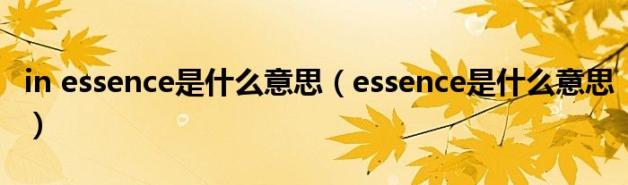 in essence是什么意思（essence是什么意思）