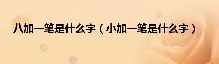 八加一笔是什么字（小加一笔是什么字）