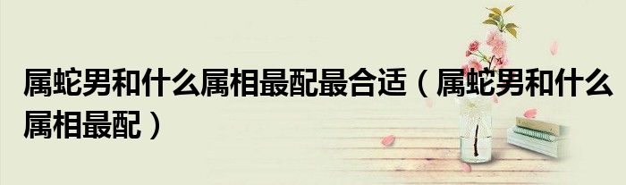 属蛇男和什么属相最配最合适（属蛇男和什么属相最配）