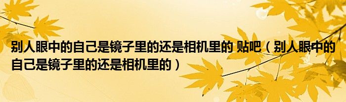别人眼中的自己是镜子里的还是相机里的 贴吧（别人眼中的自己是镜子里的还是相机里的）