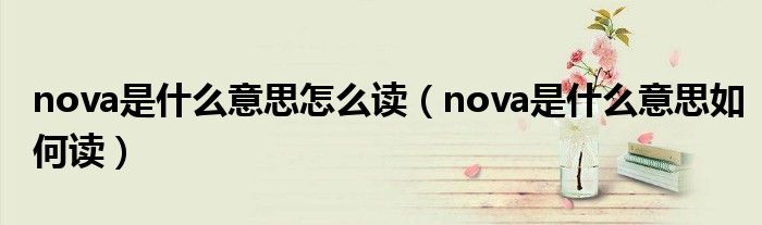 nova是什么意思怎么读（nova是什么意思如何读）