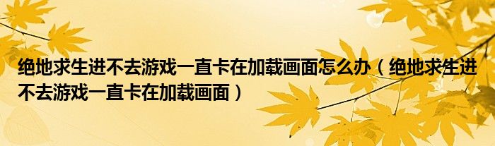 绝地求生进不去游戏一直卡在加载画面怎么办（绝地求生进不去游戏一直卡在加载画面）