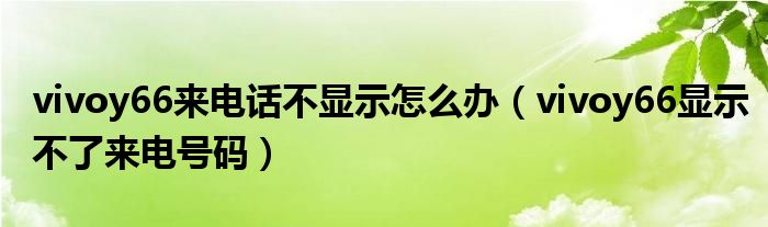 vivoy66来电话不显示怎么办（vivoy66显示不了来电号码）