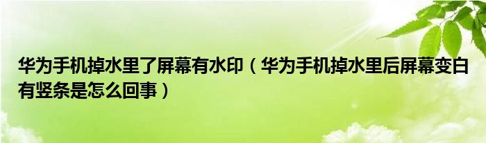 华为手机掉水里了屏幕有水印（华为手机掉水里后屏幕变白有竖条是怎么回事）