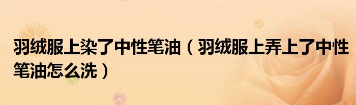 羽绒服上染了中性笔油（羽绒服上弄上了中性笔油怎么洗）