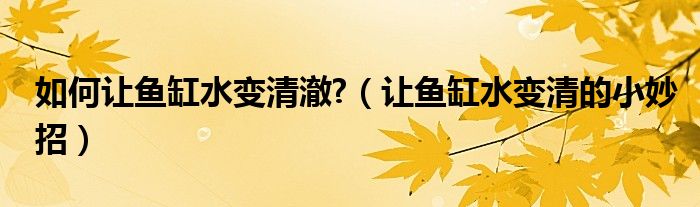 如何让鱼缸水变清澈?（让鱼缸水变清的小妙招）