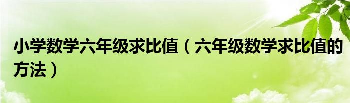 小学数学六年级求比值（六年级数学求比值的方法）
