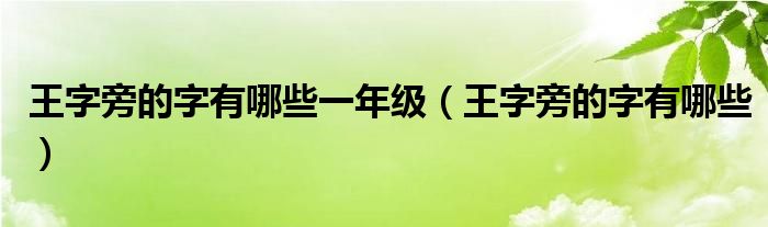 王字旁的字有哪些一年级（王字旁的字有哪些）