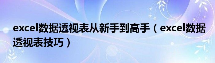 excel数据透视表从新手到高手（excel数据透视表技巧）