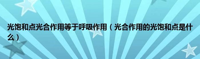光饱和点光合作用等于呼吸作用（光合作用的光饱和点是什么）