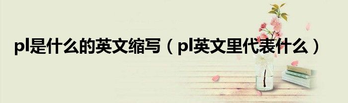 pl是什么的英文缩写（pl英文里代表什么）