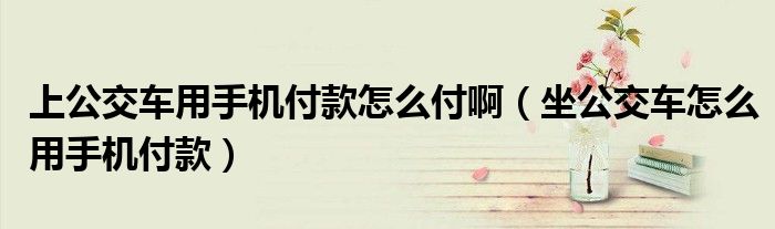 上公交车用手机付款怎么付啊（坐公交车怎么用手机付款）