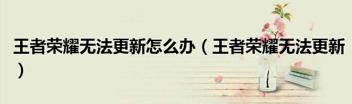 王者荣耀无法更新怎么办（王者荣耀无法更新）