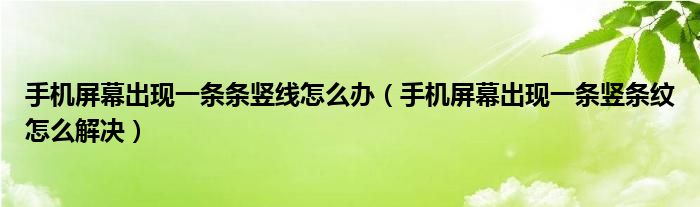 手机屏幕出现一条条竖线怎么办（手机屏幕出现一条竖条纹怎么解决）