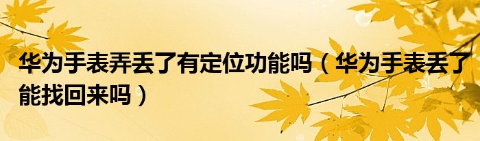 华为手表弄丢了有定位功能吗（华为手表丢了能找回来吗）