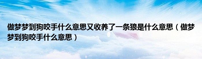 做梦梦到狗咬手什么意思又收养了一条狼是什么意思（做梦梦到狗咬手什么意思）
