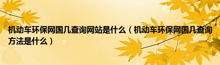 机动车环保网国几查询网站是什么（机动车环保网国几查询方法是什么）