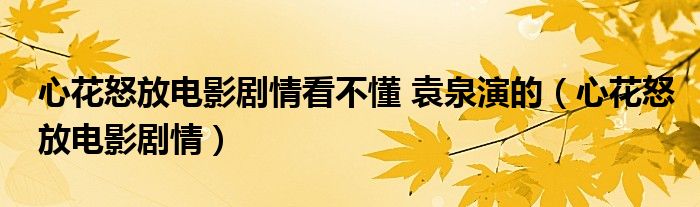 心花怒放电影剧情看不懂 袁泉演的（心花怒放电影剧情）