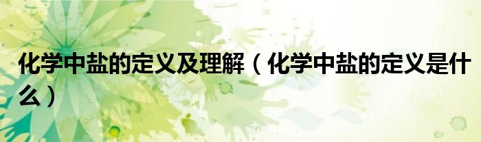 化学中盐的定义及理解（化学中盐的定义是什么）