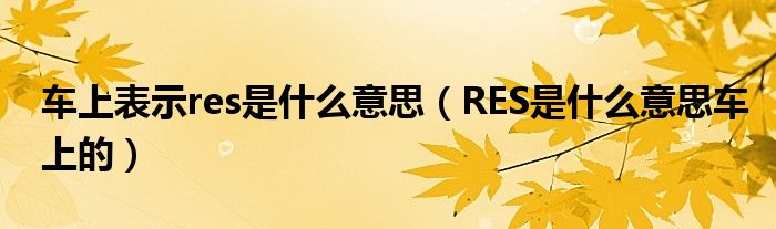 车上表示res是什么意思（RES是什么意思车上的）