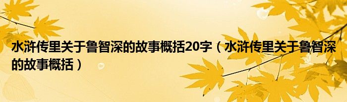 水浒传里关于鲁智深的故事概括20字（水浒传里关于鲁智深的故事概括）