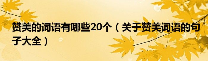 赞美的词语有哪些20个（关于赞美词语的句子大全）