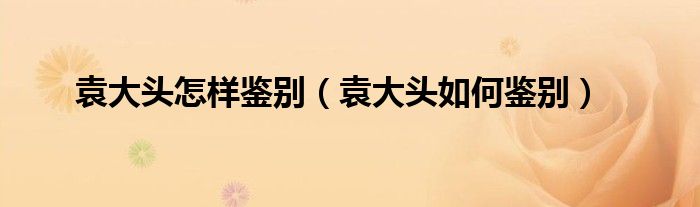 袁大头怎样鉴别（袁大头如何鉴别）