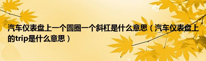 汽车仪表盘上一个圆圈一个斜杠是什么意思（汽车仪表盘上的trip是什么意思）