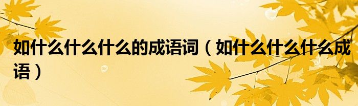 如什么什么什么的成语词（如什么什么什么成语）