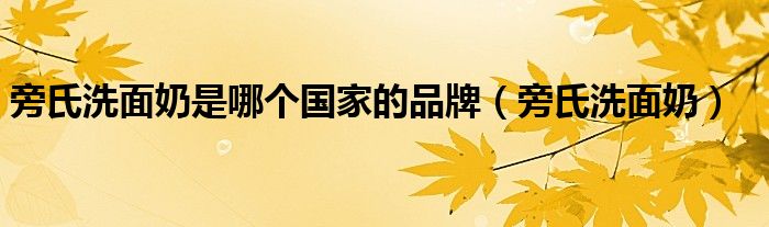 旁氏洗面奶是哪个国家的品牌（旁氏洗面奶）