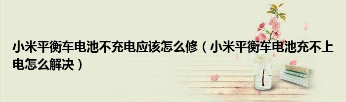 小米平衡车电池不充电应该怎么修（小米平衡车电池充不上电怎么解决）