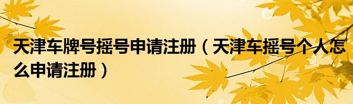 天津车牌号摇号申请注册（天津车摇号个人怎么申请注册）