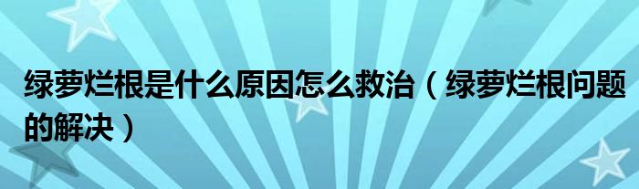 绿萝烂根是什么原因怎么救治（绿萝烂根问题的解决）