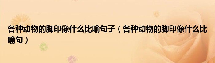 各种动物的脚印像什么比喻句子（各种动物的脚印像什么比喻句）