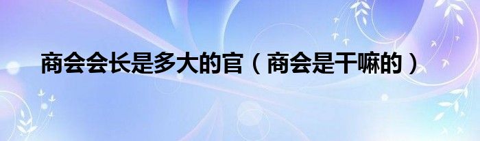 商会会长是多大的官（商会是干嘛的）