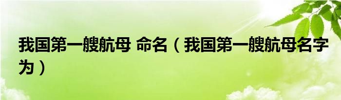我国第一艘航母 命名（我国第一艘航母名字为）
