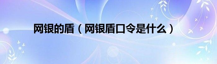 网银的盾（网银盾口令是什么）