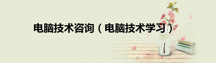 电脑技术咨询（电脑技术学习）