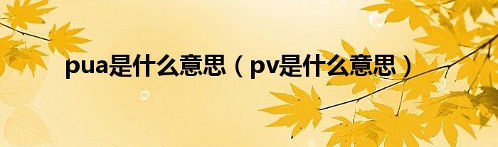 pua是什么意思（pv是什么意思）