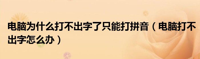 电脑为什么打不出字了只能打拼音（电脑打不出字怎么办）