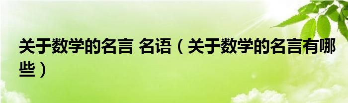 关于数学的名言 名语（关于数学的名言有哪些）