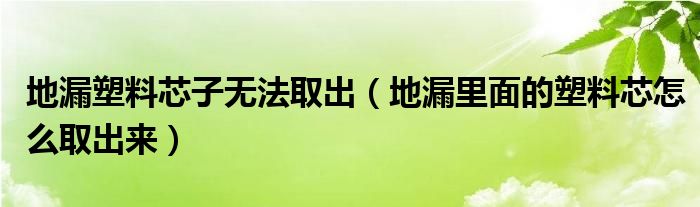 地漏塑料芯子无法取出（地漏里面的塑料芯怎么取出来）