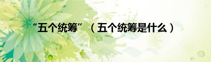“五个统筹”（五个统筹是什么）