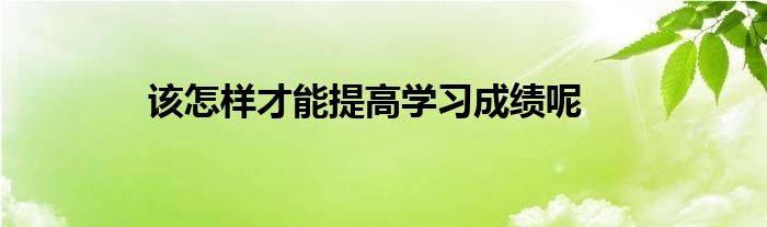 该怎样才能提高学习成绩呢
