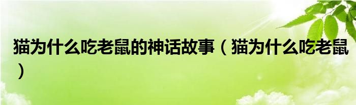 猫为什么吃老鼠的神话故事（猫为什么吃老鼠）